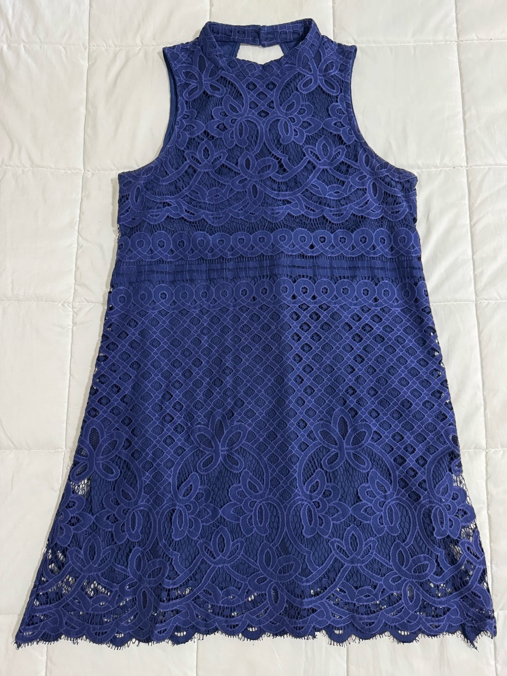 Sleeveless Lace Mini Dress in Navy